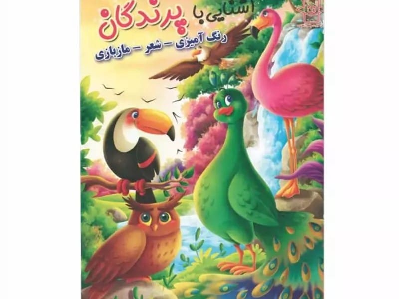 کتاب رحلی آشنایی با پرندگان (رنگ آمیزی، شعر، مازبازی) کد 65057