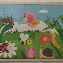 پازل 20 تکه چوبی طرح حشرات بیس کد 38051