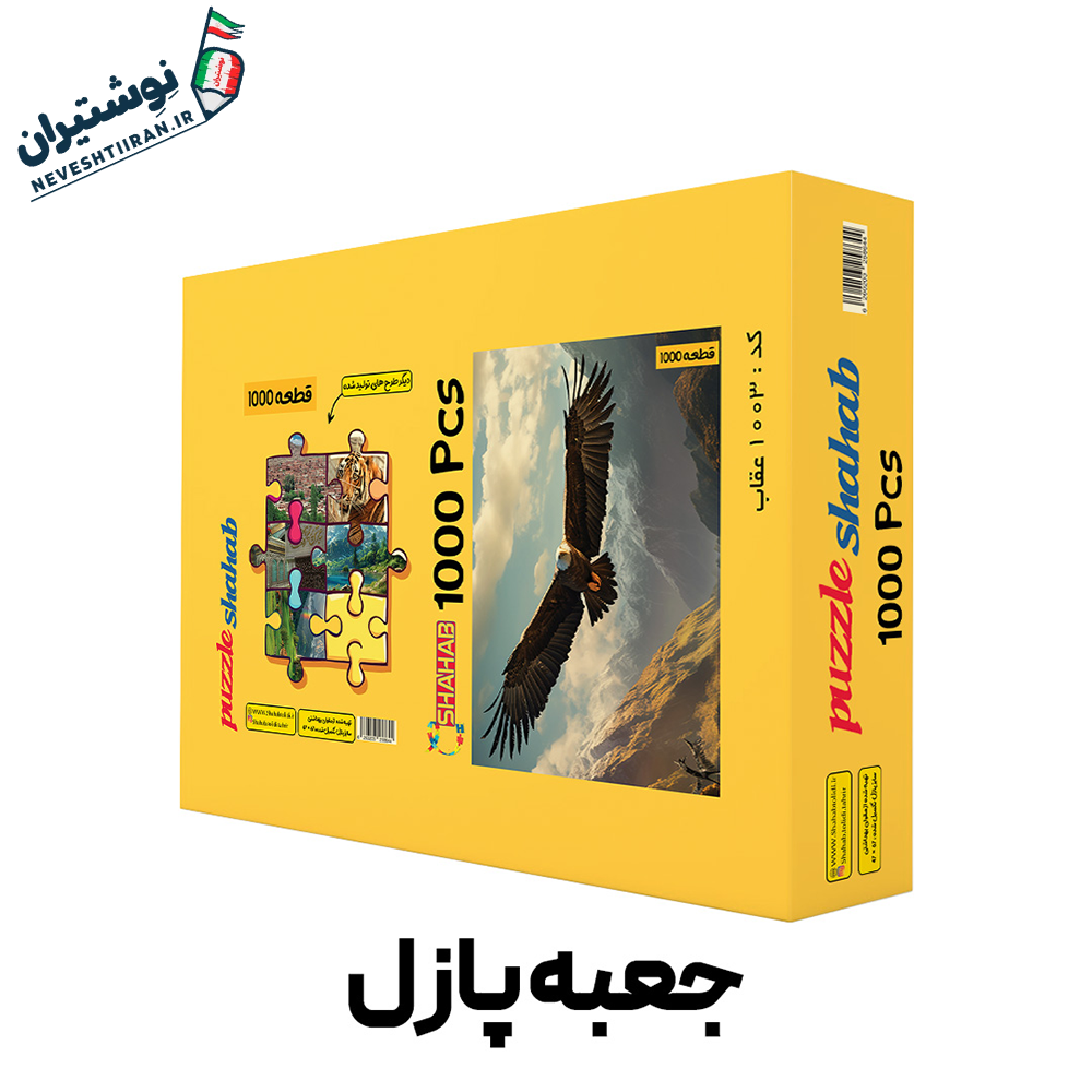 پازل 1000 قطعه عقاب B6030