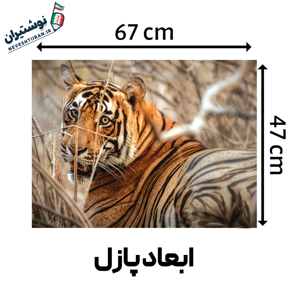 پازل 1000 قطعه ببر B6040